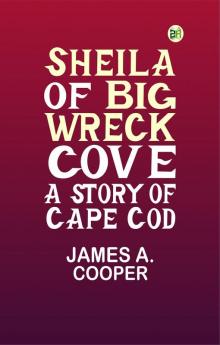Sheila of Big Wreck Cove: A Story of Cape Cod