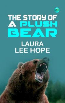 The Story of a Plush Bear
