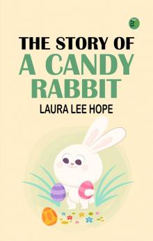 The Story of a Candy Rabbit