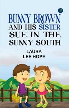 Bunny Brown and His Sister Sue in the Sunny South