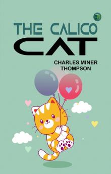 The Calico Cat