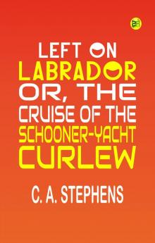 Left on Labrador; or The cruise of the Schooner-yacht Curlew