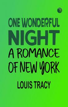 One Wonderful Night: A Romance of New York