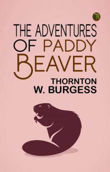 The Adventures of Paddy Beaver