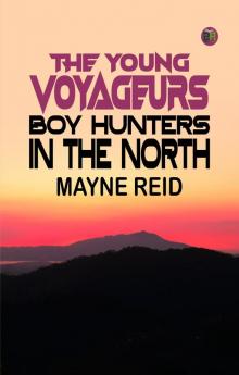 The Young Voyageurs Boy Hunters in the North