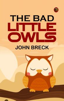 The Bad Little Owls