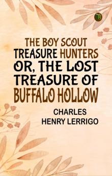 The Boy Scout Treasure Hunters Or The Lost Treasure of Buffalo Hollow