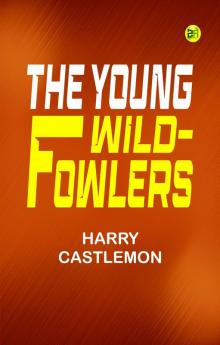 The Young Wild-Fowlers
