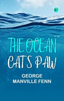 The Ocean Cat's Paw