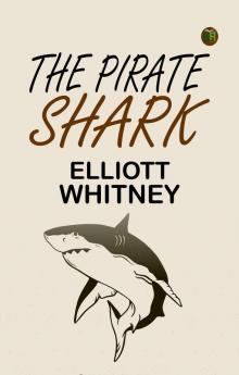 The Pirate Shark