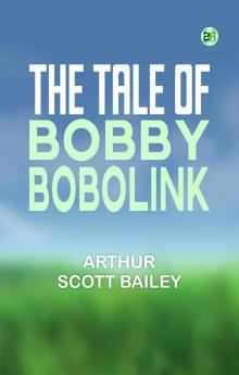 The Tale of Bobby Bobolink