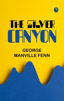 The Silver Canyon
