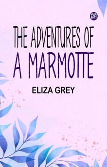The Adventures of a Marmotte