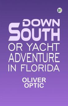 Down South or Yacht Adventure in Florida