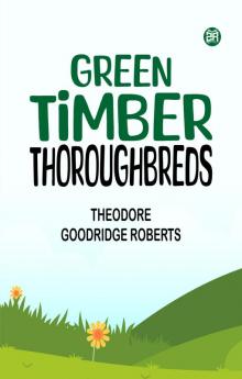 Green Timber Thoroughbreds