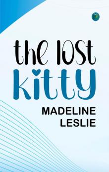 The Lost Kitty