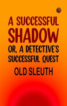 A Successful Shadow Or A Detective's Successful Quest