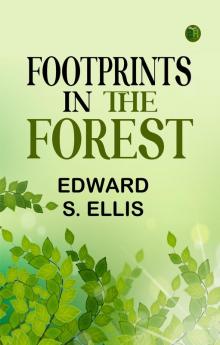 Footprints in the Forest