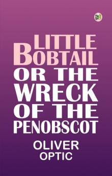 Little Bobtail or The Wreck of the Penobscot.