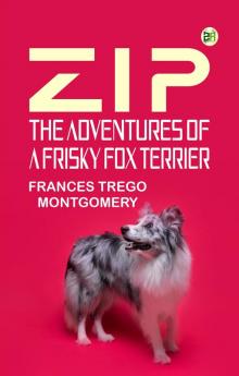 Zip the Adventures of a Frisky Fox Terrier
