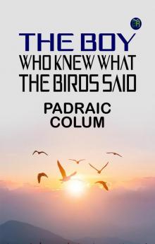 The Boy Who Knew What the Birds Said