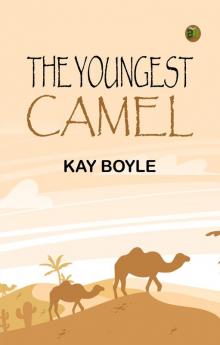 The Youngest Camel