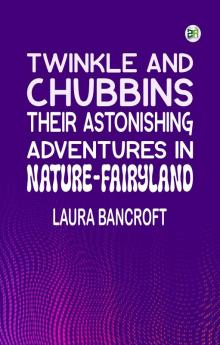 Twinkle and Chubbins: Their Astonishing Adventures in Nature-Fairyland