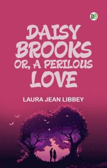 Daisy Brooks; Or A Perilous Love