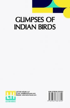 Glimpses Of Indian Birds