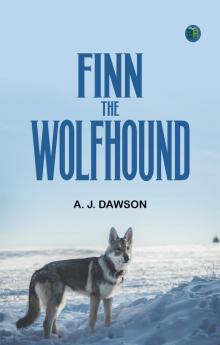 Finn The Wolfhound