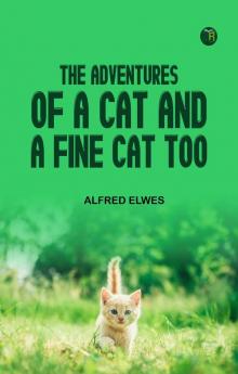 The Adventures of a Cat and a Fine Cat Too!