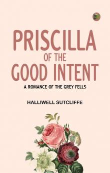 Priscilla of the Good Intent: A Romance of the Grey Fells