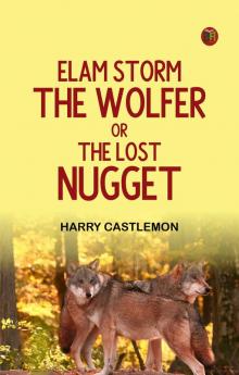 Elam Storm the Wolfer Or The Lost Nugget