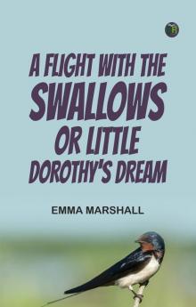 A Flight with the Swallows; Or Little Dorothy's Dream