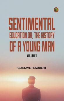 Sentimental Education Or The History of a Young Man. Volume 1