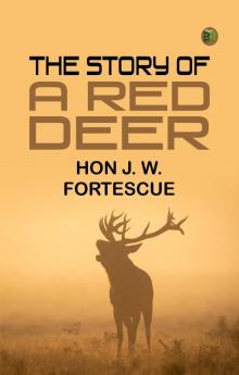 The Story of a Red Deer