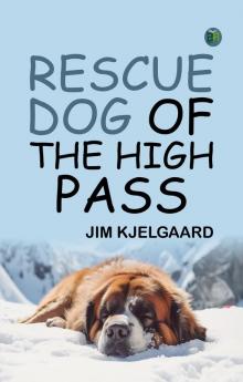 Rescue Dog of the High Pass