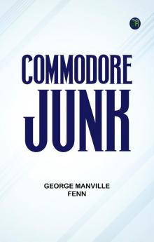 Commodore Junk
