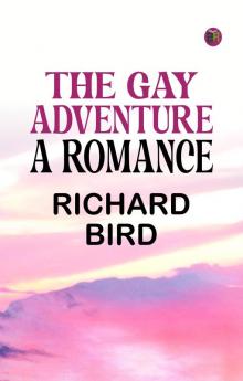 The Gay Adventure: A Romance