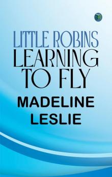 Little Robins Learning to Fly