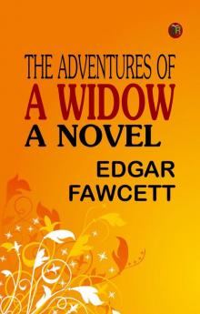 The Adventures of a Widow A Novel