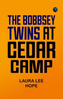 The Bobbsey Twins at Cedar Camp