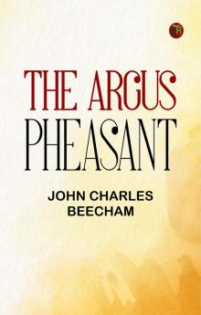 The Argus Pheasant
