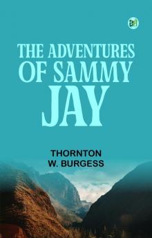 The Adventures of Sammy Jay