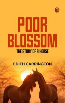 Poor Blossom: The Story of a Horse