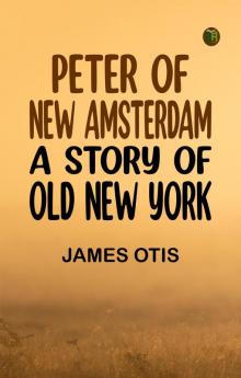 Peter of New Amsterdam  A Story of Old New York