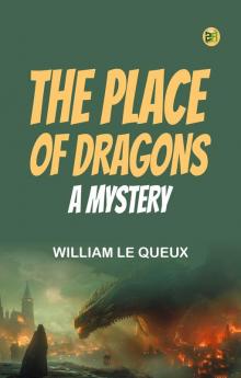 The Place of Dragons  A Mystery