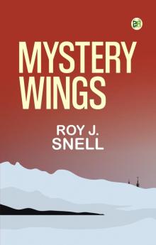 Mystery Wings