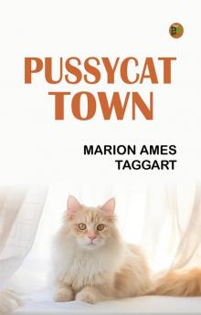 PussyCat Town