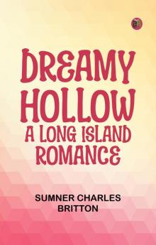 Dreamy Hollow: A Long Island Romance